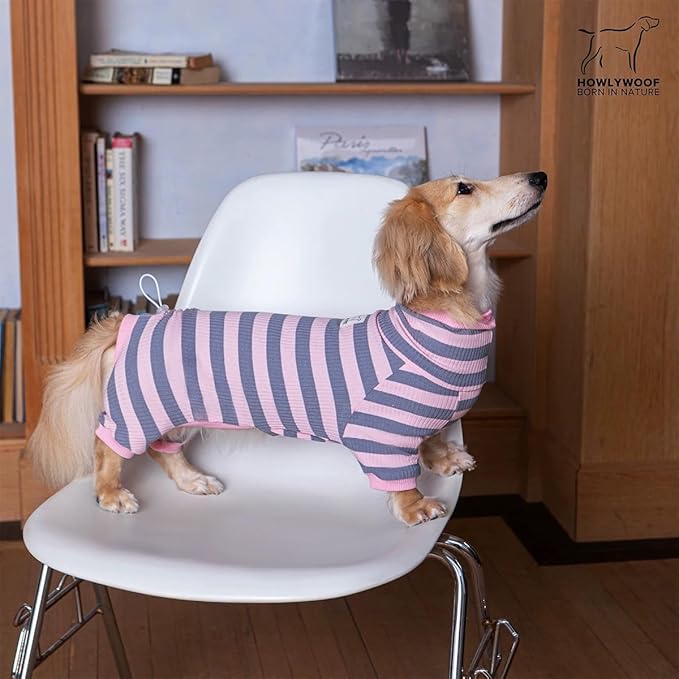HowlyWoof Dachshund Dog Shirt, Thin Striped Base Layer Onesie for Wiener Dogs, Lightweight All-Season Wear, Soft & Comfy Fit for Doxie and Short-Leg Breeds (Blue&Yellow, Size 2 (11-16 lbs))