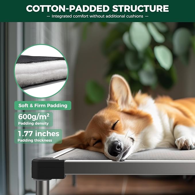 FXW TitanNest Chew-Proof Elevated Dog Bed, Raised Cot for Indoor/Outdoor/Camping Use, Durable & Washable Padded Pet Bed with Exclusive Cover for Toy Dogs, 23.0" L x 17.0" W x 4.5" H, Gray