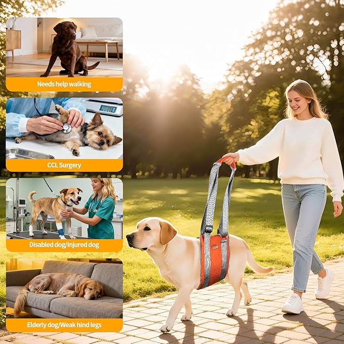 ExploreU Dog Sling for Back Legs Dog Lift Harness Magic Tape Hip Support Harness Rehab to Help Senior,Injured,Arthritis,Hip Dysplasia,Weak Rear Leg,Disabled,After ACL/CCL Surgery,TPLO Dogs (Brown, S)