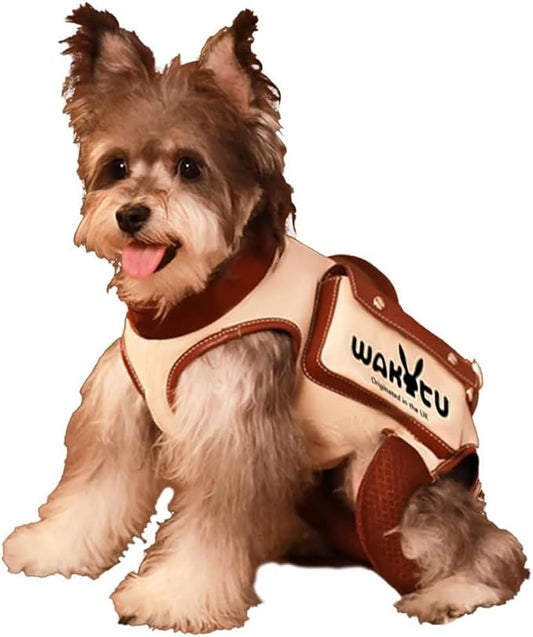 Wakytu Dog Lift Harness Dog Carrier VES Harness Adjustable Leash with Small Puppy Treat Bag,Fits Most Cars,L