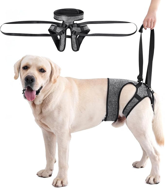 LIANZIMAU Dog Sling for Large Dogs Adjustable Hind Leg Support Lift Harness Help em up Harness Senior Canine Mobility Aid Carrier for Back Legs Walking Rehabilitation