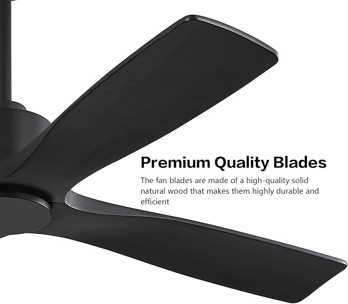 WINGBO 54" DC Ceiling Fan without Lights, 4 Carved Solid Wood Blades, 6-Speed Noiseless Reversible DC Motor, Modern Ceiling Fan No Light with Remote, Matte Black Finish with Black Blades, ETL Listed