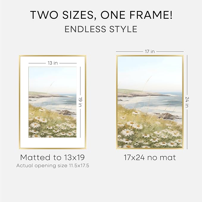 Homeforia 17x24 Picture Frame Gold, High End Metal 17x24 Poster Frames with Mat 13x19 Photo, 17 x 24 Gold Frame Matted to 13 by 19 Print, 24by17 Thin Hanging Frames, Tempered Glass, Wall Kit, Set of 1