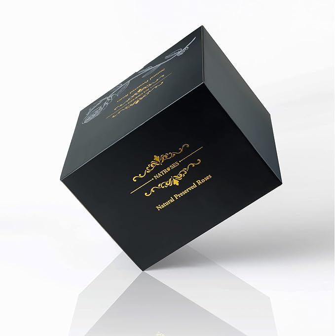 NATROSES 27 Piece Forever Preserved Roses in a Box, Preserved Flowers for Delivery Birthday, Flowers Gifts for Mothers Day, Black