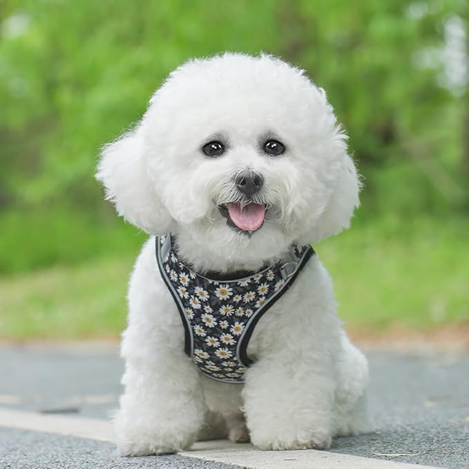 Step in Dog Harness and Leash Set, Flower Adjustable Easy Walk Puppy Harnesses, Soft Mesh No Pull Pet Vest Harness for Small Medium Dogs(Daisy, M)