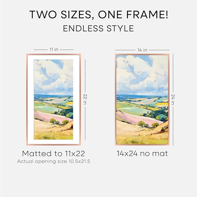 Homeforia 14x24 Picture Frame Rose Gold, High End Metal 14x24 Poster Frames with Mat 11x22 Photo, 14 x 24 Rose Gold Frame Matted to 11 by 22 Print, 24x14 Thin Frame, Tempered Glass, Wall Kit, Set of 1