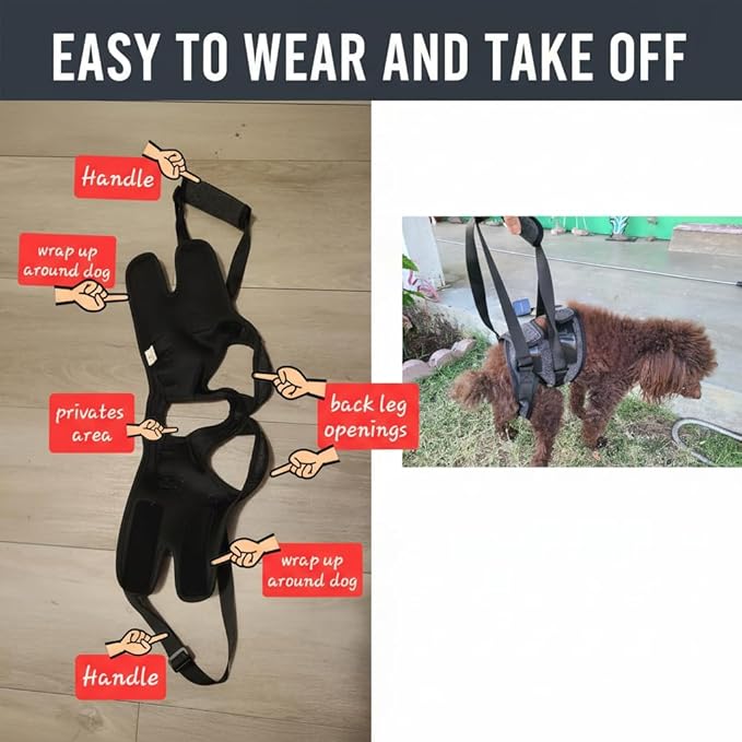 BARDIMIES Dog Lift Harness for Back Legs–Sturdy Dog Support Sling–Hip Sling Carrier for Large Medium Canine, Stair Helper for Aid Old Ligament Rehabilitation Pet, Grey,L