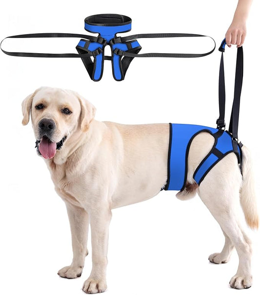 LIANZIMAU Dog Sling for Large Dogs Adjustable Hind Leg Support Lift Harness Help em up Harness Senior Canine Mobility Aid Carrier for Back Legs Walking Rehabilitation