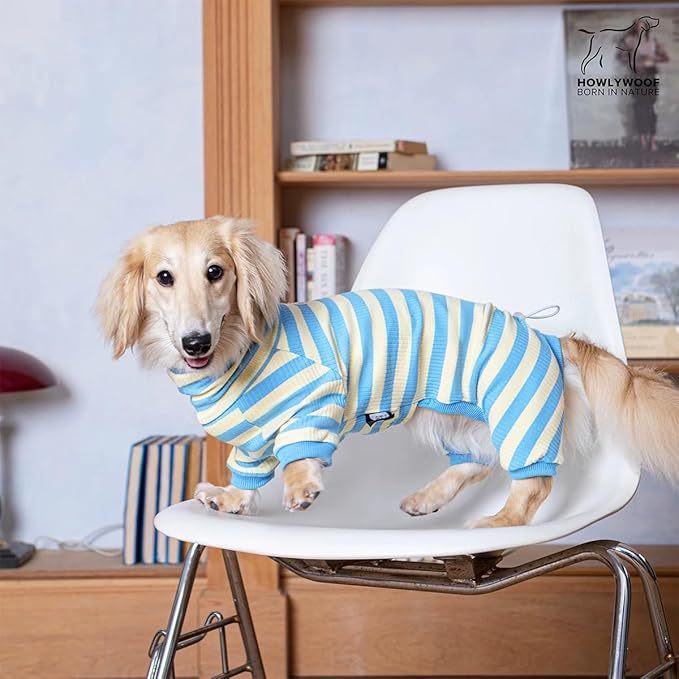 HowlyWoof Dachshund Dog Shirt, Thin Striped Base Layer Onesie for Wiener Dogs, Lightweight All-Season Wear, Soft & Comfy Fit for Doxie and Short-Leg Breeds (Blue&Yellow, Size 2 (11-16 lbs))