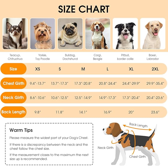 Queenmore Dog Winter Coat, Cold Weather Fleece Jacket for Dogs, Waterproof Reflective Reversible, for Small, Medium and Large Dogs (Grey, L)