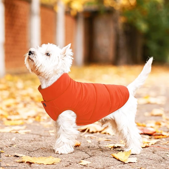 ASENKU Dog Winter Coat - Waterproof Windproof Dog Jacket, Warm Snowproof Doggie Puffer Vest for Cold Weather, Lightweight Snow Coats for Small Medium Large Dogs (Orange, M)