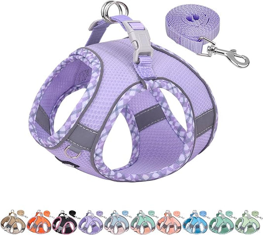 AIITLE Teacup Puppy Harness with Leash - Adjustable Soft Vest with Magic Tape & Reflective Safety Strips, Easy-Put-On for Poodles, Pomeranians - Gym, Hiking, Travel (Purple, S)