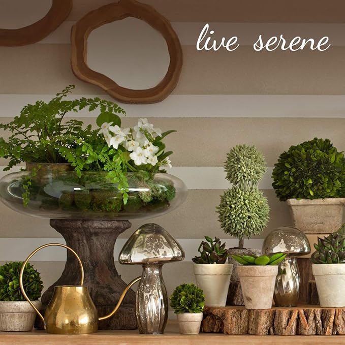 Serene Spaces Living Set of 2 Medium Free-Form Edge Glazed Ceramic Plate- Dinnerware for Vintage Weddings, Events, Measures 9" Long, 8" Wide and 1" Tall