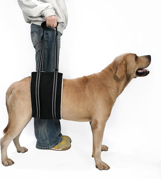 COODEO Adjustable Comfortable Dog Sling with Handle Hind Leg Support Soft Lift Support and Rehab Harness for Weak Rear Legs,Helps Senior, Injured, Disabled and After ACL Surgery Dogs Large (Black, M)