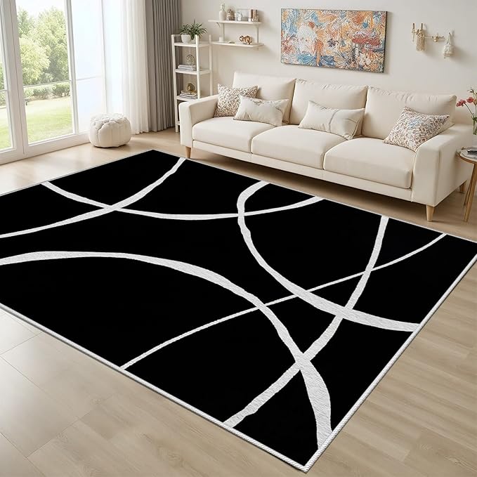 Black and White Rugs, Abstract Rug, Modern Minimalist Rug, Curved Line Design Carpet, Black and White Abstract Rugs Washable Non Slip for Living Room Home Decor 4x5