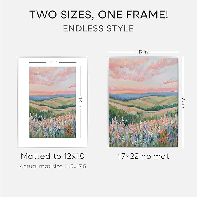 Homeforia 17x22 Picture Frame Silver, High End Metal 17x22 Frames with Mat 12x18 for Photo, 17 x 22 Silver Poster Frame Matted to 12 x 18 Print, 22x17 Hanging Frame, Tempered Glass, Wall Kit, Set of 1