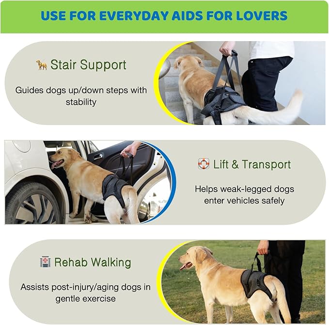 BARDIMIES Dog Lift Harness for Back Legs–Sturdy Dog Support Sling–Hip Sling Carrier for Large Medium Canine, Stair Helper for Aid Old Ligament Rehabilitation Pet, Grey,S
