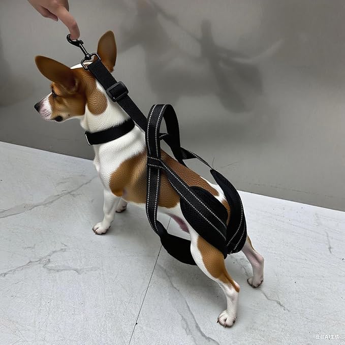 New Upgraded Dog Hind Leg Support Harness, Rear Leg Support Harness - Mobility Aid for Disabled & Paralyzed Pets, Rehabilitation Sling for Hind Leg Assistance (S-Thigh（Small)
