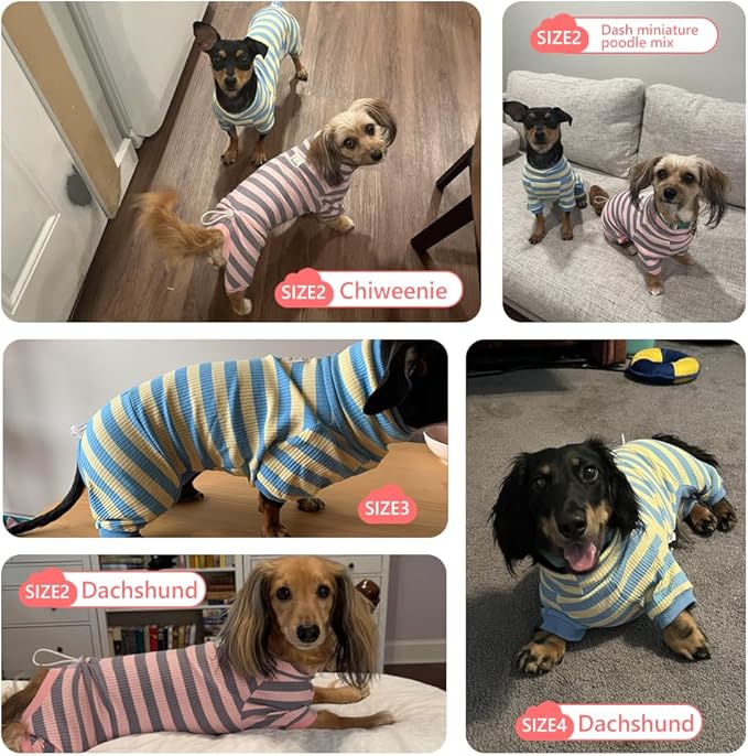 HowlyWoof Dachshund Dog Shirt, Thin Striped Base Layer Onesie for Wiener Dogs, Lightweight All-Season Wear, Soft & Comfy Fit for Doxie and Short-Leg Breeds (Blue&Yellow, Size 1 (7-11lbs))