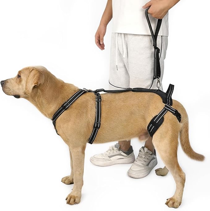 COODEO Professional Dog Sling for Hind Leg Support - Aid for Post-ACL/TPLO Surgery & Senior Dogs, Secure,Breathable & Machine-Washable with Reflective Edging for Safe Walks (Black, XL)