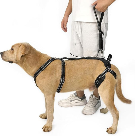 COODEO Professional Dog Sling for Hind Leg Support - Aid for Post-ACL/TPLO Surgery & Senior Dogs, Secure,Breathable & Machine-Washable with Reflective Edging for Safe Walks (Black, XL)