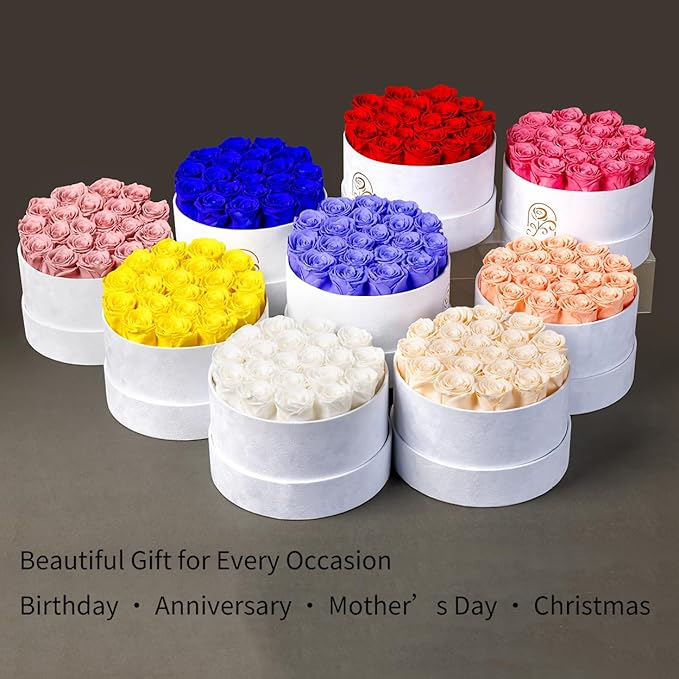 Gifts for Women Preserved Roses Flower Box, Luxury Velvet Box with 20 Roses, Preserved Flowers, Romantic Gift for Her, Wife, Girlfriend, Birthday Anniversary Christmas (Peach Pink)