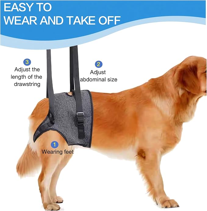 BARDIMIES Dog Lift Harness for Back Legs–Sturdy Dog Support Sling–Hip Sling Carrier for Large Medium Canine, Stair Helper for Aid Old Ligament Rehabilitation Pet, Grey,S