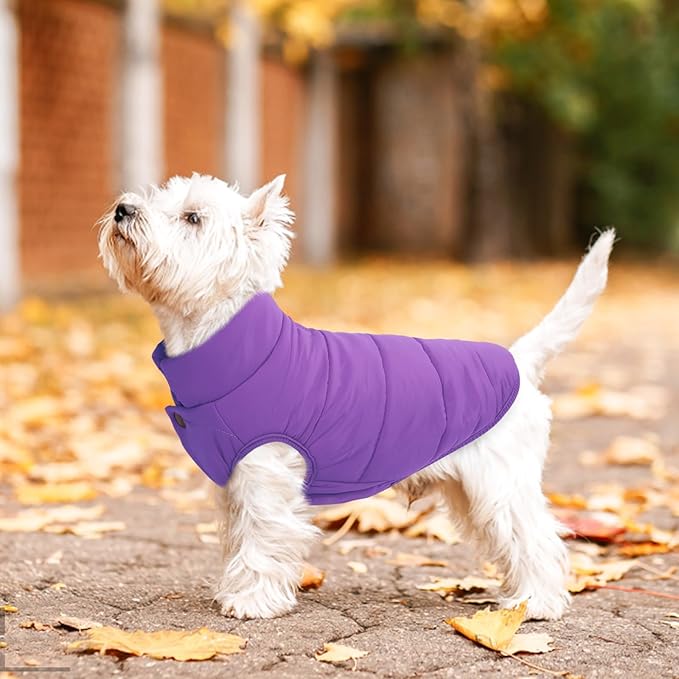 ASENKU Dog Winter Coat - Waterproof Windproof Dog Jacket, Warm Snowproof Doggie Puffer Vest for Cold Weather, Lightweight Snow Coats for Small Medium Large Dogs (Purple, XL)