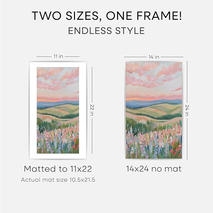 Homeforia 14x24 Picture Frame Silver, High End Metal 14x24 Frames with Mat 11x22 for Photo, 14 x 24 Silver Poster Frame Matted to 11 x 22 Print, 24x14 Hanging Frame, Tempered Glass, Wall Kit, Set of 1