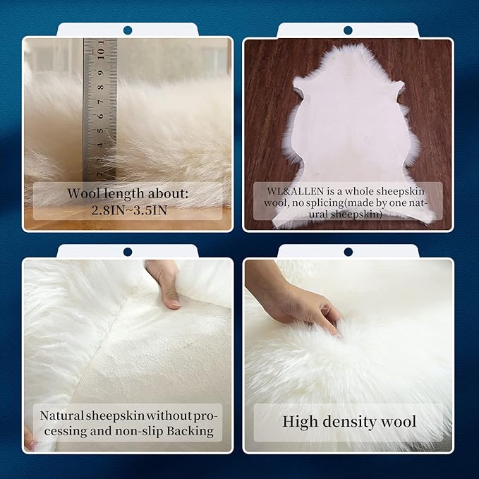 WL&ALLEN Large Sheepskin Rug Genuine Thick and Lush 3 Inch Pile，Luxury Australian Pelts |Large Sheepskin Wool Area Rugs(Single Pelt 2'6" x 3'7"，Black)…