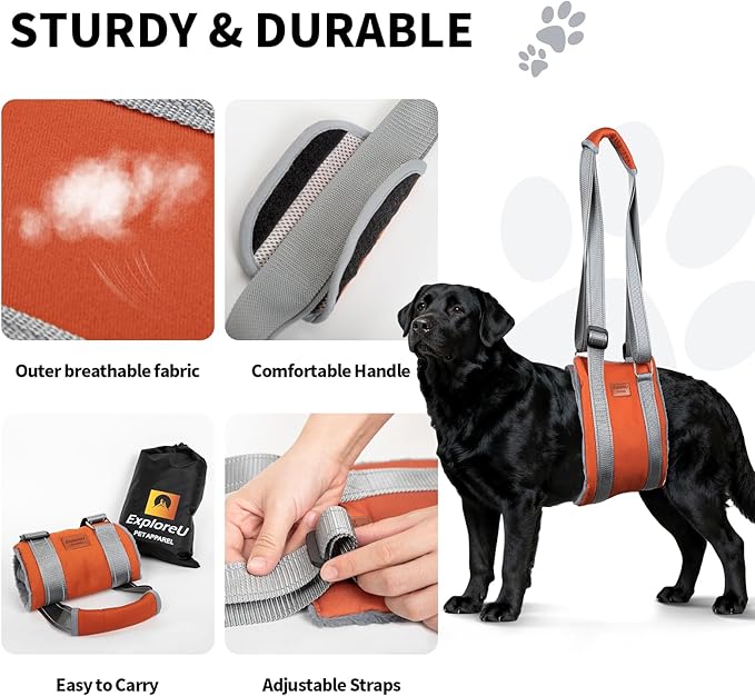 ExploreU Dog Sling for Back Legs Dog Lift Harness Magic Tape Hip Support Harness Rehab to Help Senior,Injured,Arthritis,Hip Dysplasia,Weak Rear Leg,Disabled,After ACL/CCL Surgery,TPLO Dogs (Brown, L)