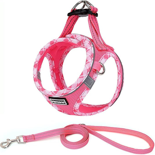 Mercano Soft Mesh Dog Harness and Leash Set, No-Chock Step-in Reflective Breathable Lightweight Easy Walk Vest Harnesses with Safety Buckle for Small Dogs, Cats (L, Fuchsia)