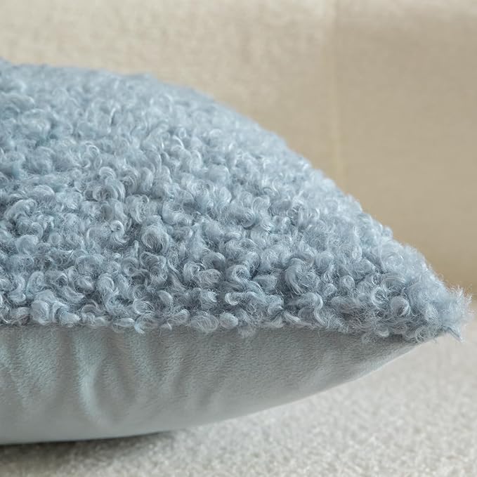 Yaertun Pack of 2 Faux Fur Throw Pillow Covers Decorative Sherpa Boucle Pillow Covers Fuzzy Soft Pillowcases Sheepskin Fleece Cushion Case for Couch Sofa Bed Living Room 22x22 Inch Light Blue