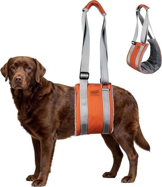 ExploreU Dog Sling for Back Legs Dog Lift Harness Magic Tape Hip Support Harness Rehab to Help Senior,Injured,Arthritis,Hip Dysplasia,Weak Rear Leg,Disabled,After ACL/CCL Surgery,TPLO Dogs (Brown, M)
