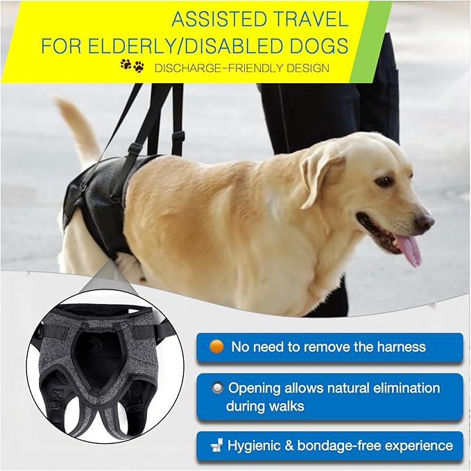 BARDIMIES Dog Lift Harness for Back Legs–Sturdy Dog Support Sling–Hip Sling Carrier for Large Medium Canine, Stair Helper for Aid Old Ligament Rehabilitation Pet, Grey,L