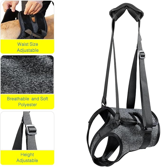 BARDIMIES Dog Lift Harness for Back Legs–Sturdy Dog Support Sling–Hip Sling Carrier for Large Medium Canine, Stair Helper for Aid Old Ligament Rehabilitation Pet, Grey,M