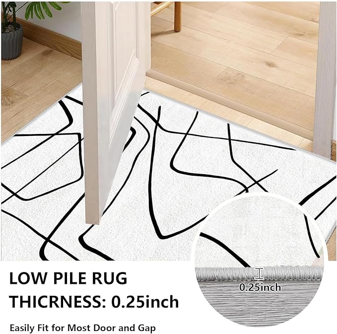 Black and White Rug - Abstract Area Rug, Black and White Rugs for Living Room, Modern Door Mat, Minimalist Washable Rugs, Contemporary Carpet Non Slip Home Decor, Curve 2x3