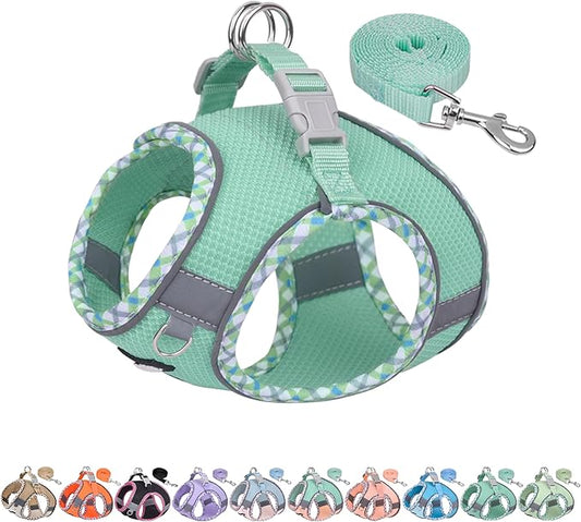 AIITLE Dog Harness and Leash Set - Ultra-Comfortable XXS-XL Vest with Strong Magic Tape & Glow-in-Dark Reflective Strips, Chafe-Free for Teddy, Schnauzer (Turquoise, M)