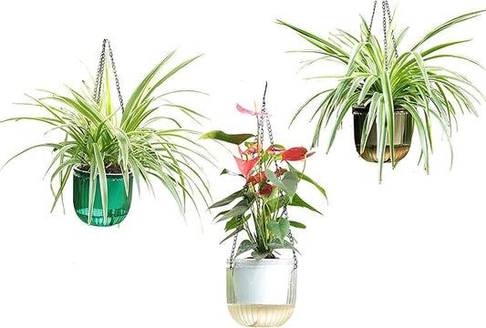 Meicynhoger 2-Pack Vintage Self-Watering Hanging Planter - 6.5" Clear Flower/Plant Pot with Hooks for Indoor Outdoor,Table, Balcony, Wall,Deck,Garden (3 Colors, 6.5")