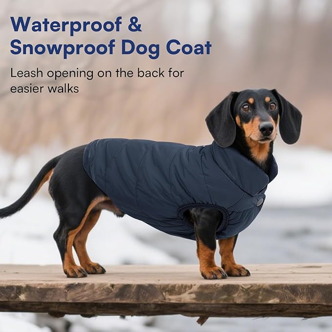 ASENKU Dog Winter Coat - Waterproof Windproof Dog Jacket, Warm Snowproof Doggie Puffer Vest for Cold Weather, Lightweight Snow Coats for Small Medium Large Dogs (XL, Blue)
