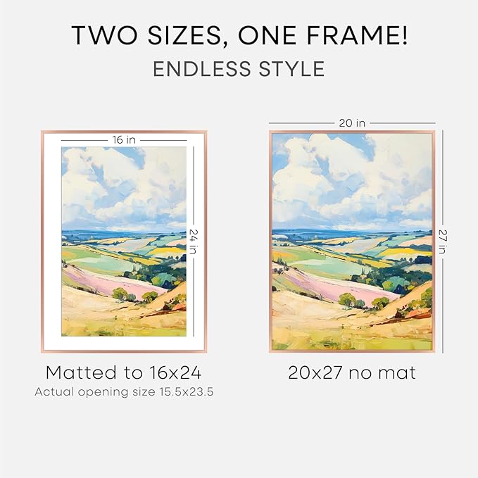 Homeforia 20x27 Picture Frame Rose Gold, High End Metal 20x27 Poster Frames with Mat 16x24 Photo, 20 x 27 Rose Gold Frame Matted to 16 by 24 Print, 27x20 Thin Frame, Tempered Glass, Wall Kit, Set of 1
