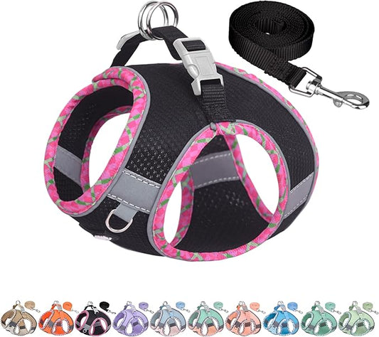AIITLE Teacup Puppy Harness with Leash - Adjustable Soft Vest with Magic Tape & Reflective Safety Strips, Easy-Put-On for Poodles, Pomeranians - Gym, Hiking, Travel (Black, S)