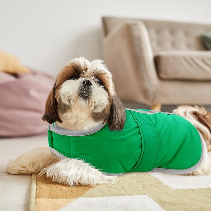 Queenmore Dog Winter Coat, Cold Weather Fleece Jacket for Dogs, Waterproof Reflective Reversible, for Small, Medium and Large Dogs (Green, XS)