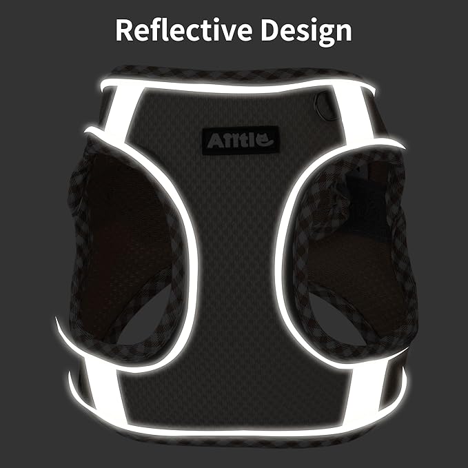 AIITLE Dog Harness and Leash Set - Ultra-Comfortable XXS-XL Vest with Strong Magic Tape & Glow-in-Dark Reflective Strips, Chafe-Free for Teddy, Schnauzer (Purple, M)