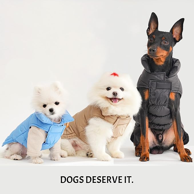 SPACE LION Dog Puffer Jacket, Down Winter Coat, Durable Outdoor Coat for Cold and Windy Conditions, Lightweight & Adjustable Fit Coats for Small & Medium Dogs, (Black, Size12/M)