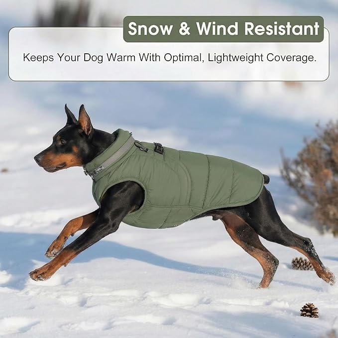 SAWMONG Dog Coat, Warm Dog Winter Coat, Waterproof Fleece Jacket, Cold Weather Dogs Jacket (2XL,Green)