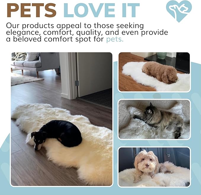 WaySoft New Zealand Sheepskin Area Rug – Genuine Fluffy Wool, Multiple Sizes, Bedroom or Living Room Decor(4ft x 6ft,Grey)