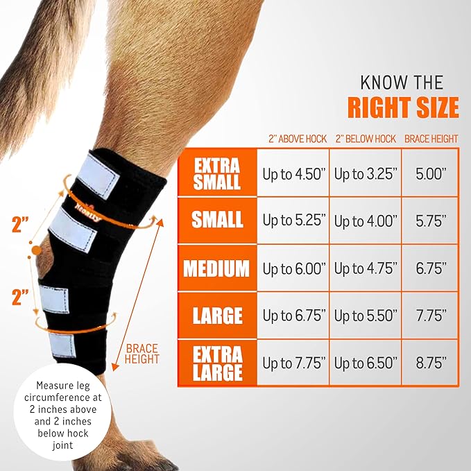 NeoAlly® - Rear Leg Hock Brace, Dog Leg Brace for Rear Leg, Hock & Ankle Support for Large Dogs, Dog Brace for Torn Acl and Ccl, Long Version, Extra Large, 1 Pair