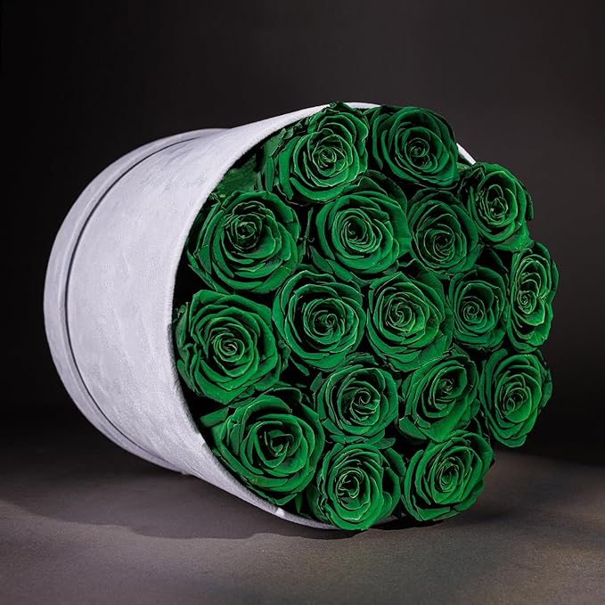 17 Flowers in a Luxury Suede Box, Birthday Gifts for Women, Preserved Flowers, Mothers Day Roses Gift for Mom, Dark Geen
