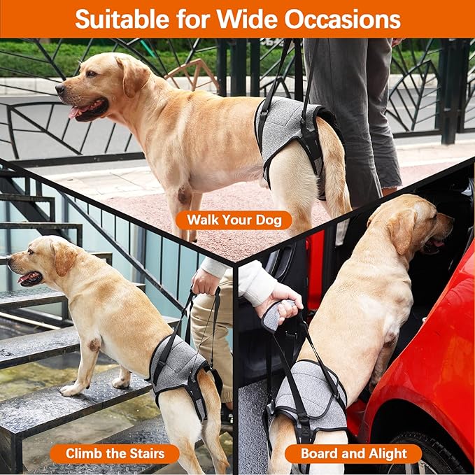 ROZKITCH Dog Lift Harness, Pet Rear Support Aid Veterinarian Approved Sling for Old K9 Help with Poor Stability, Back Leg Hip Disabled Joint Injury Elderly Arthritis ACL Rehabilitation Rehab Grey L